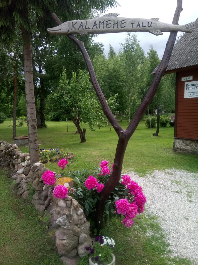 Kalamehe Farmstay Alatskivi Eksteriør bilde